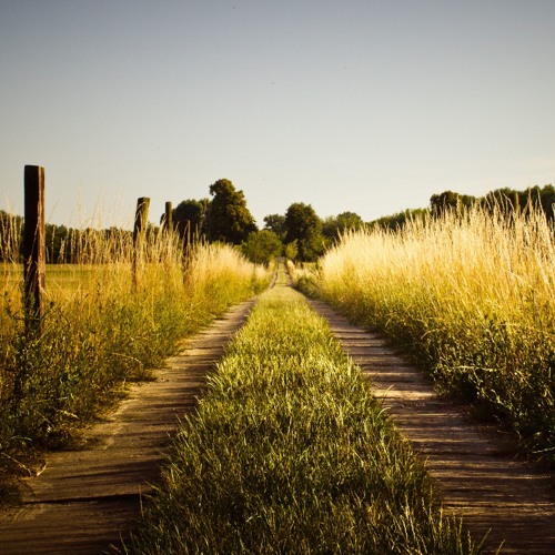 Just Go - Dejedi & Spur DnB Remix