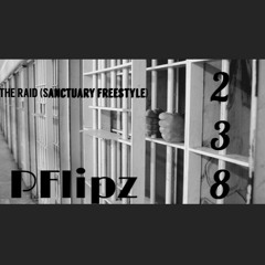 THE RAID   (Sanctuary) FREESTYLE