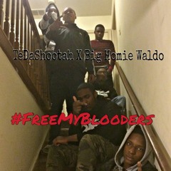 TNL - #FreeMyBlooders (Freestyle)