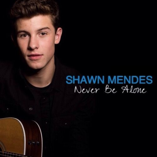 Shawn Mendes-NEVER BE ALONE [TRADUÇÃO] 