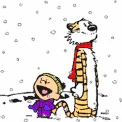snowed in.