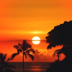 Sikidi Ie Pene B/K Cover [sample]