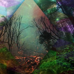 Prosgranik - Back to Forest