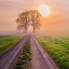 Tere Naal - HD (ORIGINAL)