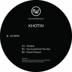 Khotin - You Could Feel The Sky (NRML015)