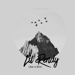 Like A Bird - Lil Rendy