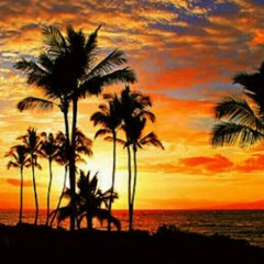 Tropical House Set