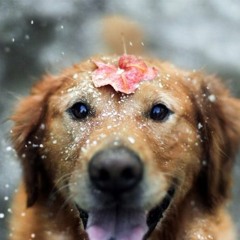 Creep - Vintage Postmodern Jukebox Version (Cover)