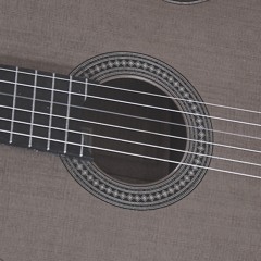 Seis guitarras históricas del Museu de la Música de Barcelona / Maria Ribera, guitarra