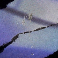 Canooooopy & Sima kim - Tragicomical Sandstorm