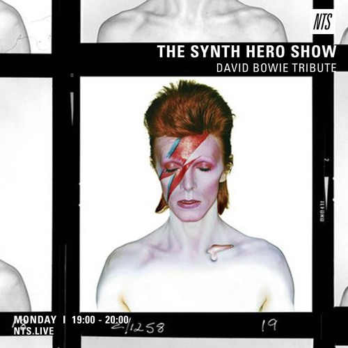 David Bowie Synth Oddities Tribute by Tim Noakes