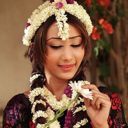 النورس - قصدي من الزين نضره