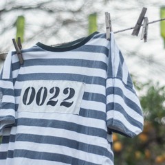 Tiran Bombas by FedEx