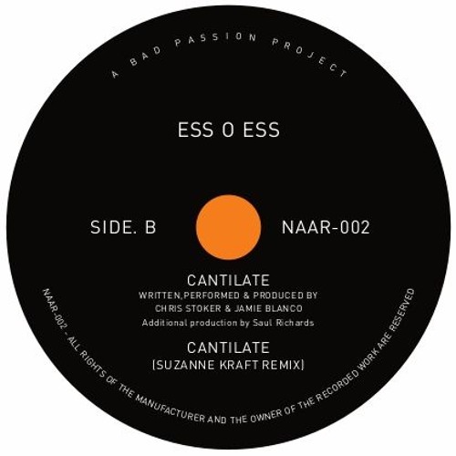 PREMIERE: Ess O Ess - Cantillate - Not An Animal Records