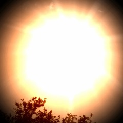 The Bleeding Sun
