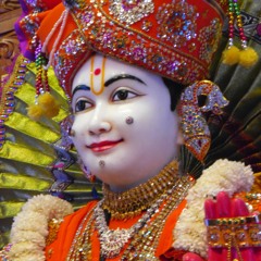 Shreejinandan Swami - Swaminarayan Dhun