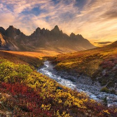 Dayspliffers paradise