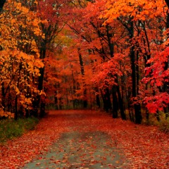 Jazz Violin - Autumn Leaves