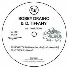 Bobby Draino & D. Tiffany - Arctic Travel 12" (NRML018)