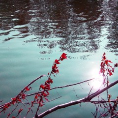 The Sun In The Stream (Enya)