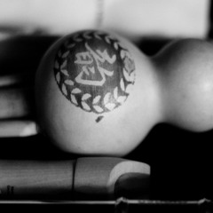 Sociedade Do Cão #2