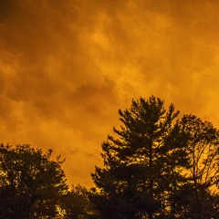 Stars [bcprmx.]  |  DORK