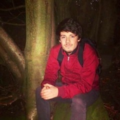 Electroacoustic composition