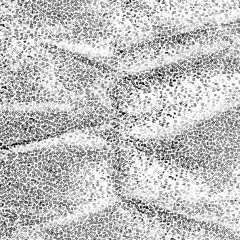 USELESS EATERS -Temporary Mutilation- - 01 Temporary Mutilation