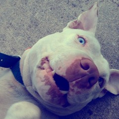 White Iverson post molone gmix