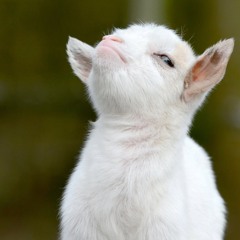 Just a Bunch of Killer Stuff In a Pile