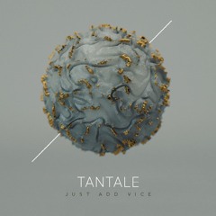 TANTALE-The Question