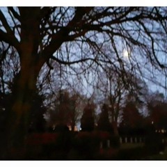 Helt alene i verden igen