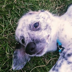 Pick me!