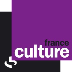 Lettres de non-motivation / France Culture, Backstage n° 20, Aurélie Charon, extrait - 11/01/2016