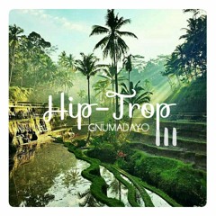 Hip-Hop / Rap / Jazz / Funk