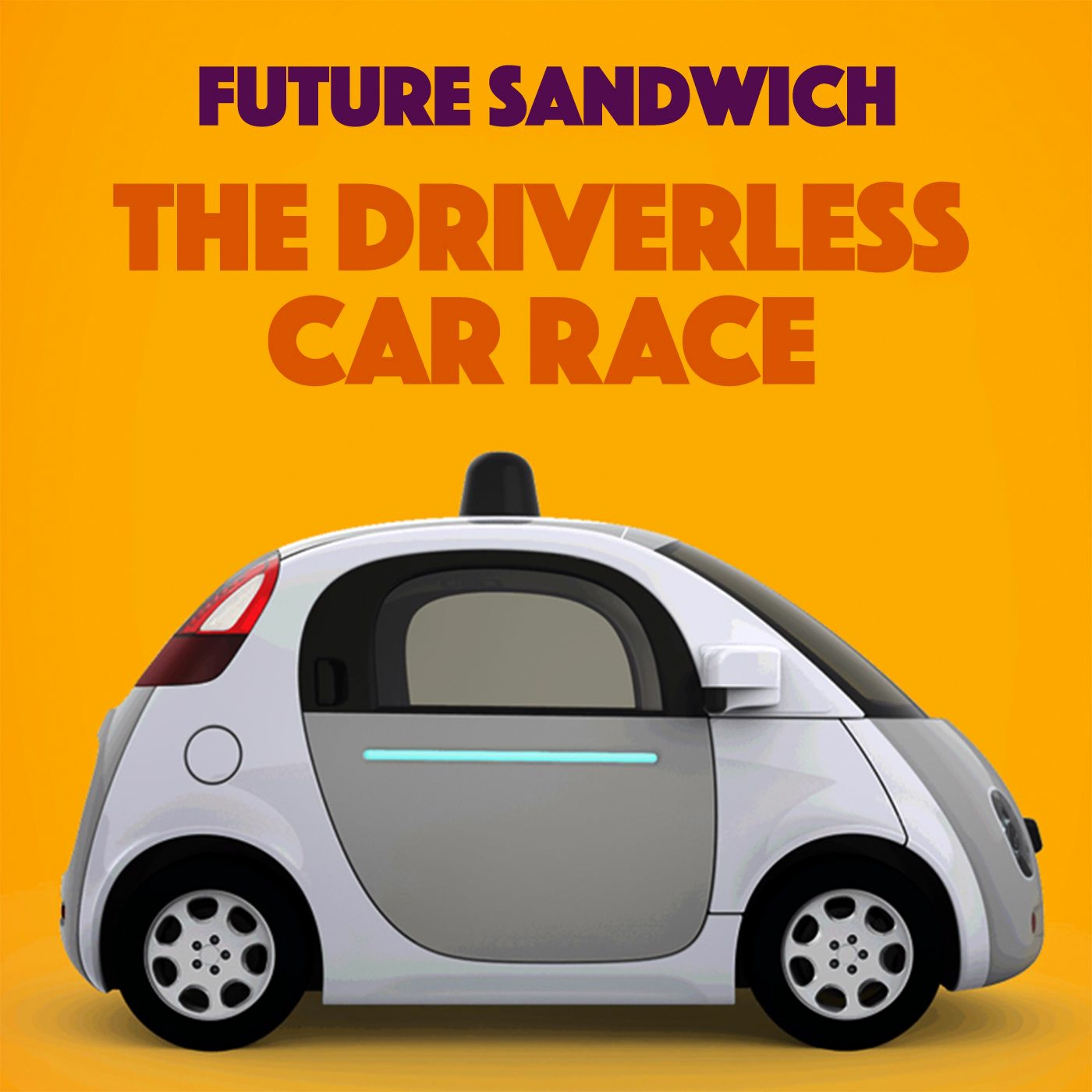 The Driverless Car Race