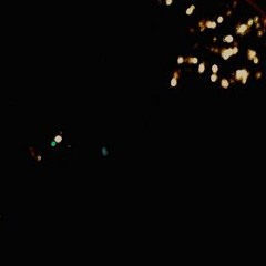 the bridge to my planet starts on the ground