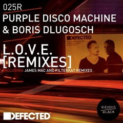 Purple Disco Machine & Boris Dlugosch - L.O.V.E.  (Filterkat Remix)