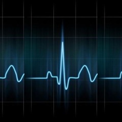 Fred From R.I.S.C - 4 Days