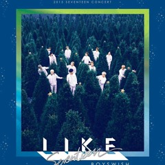 세븐틴 음악회 BOYS WISH 'One Love'