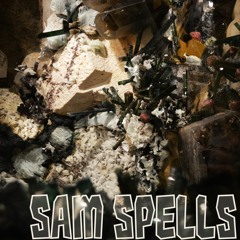 Sam Spells-Frigidaire (FREE DOWNLOAD)