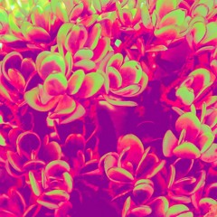 Neptune - Tetrahedron