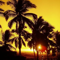 Tropical Jam