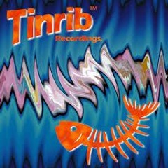 Tinrib Lots and lots of TINRIB Nothing else -- FREE DOWNLOAD --  VINYL REVIVAL