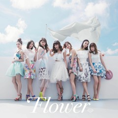 Flower - Clover