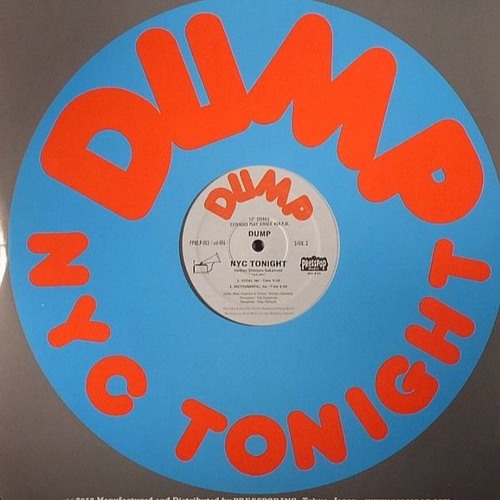 Dump ‎– NYC Tonight (Shintaro Sakamoto version)