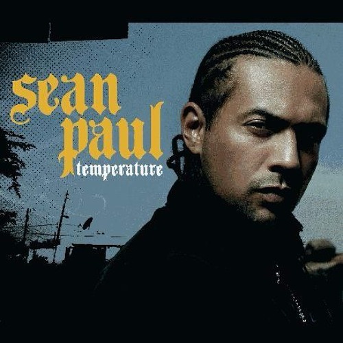 Sean Paul - Temperature (Flow Trax Kick n Bass Bootleg)