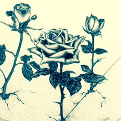 R.I.P Benzo #RoughDraft