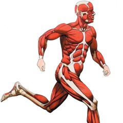 ดาว Paradox หนุ่มร้อยแรง cover