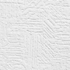 日々の泡 2015demo